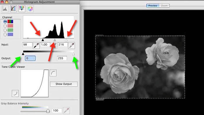 'AdjustedHistogram